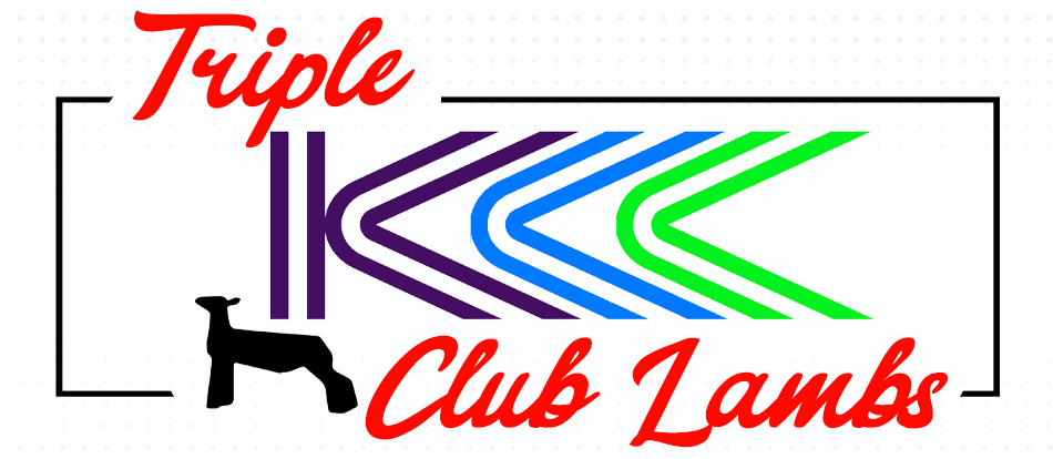 Triple K Club Lambs