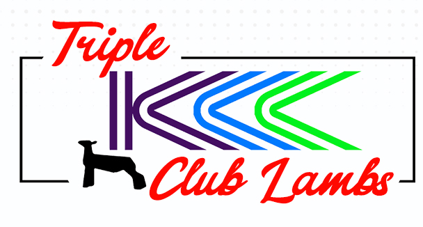 Triple K Club Lambs